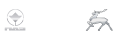 ПАЗ, ГАЗ